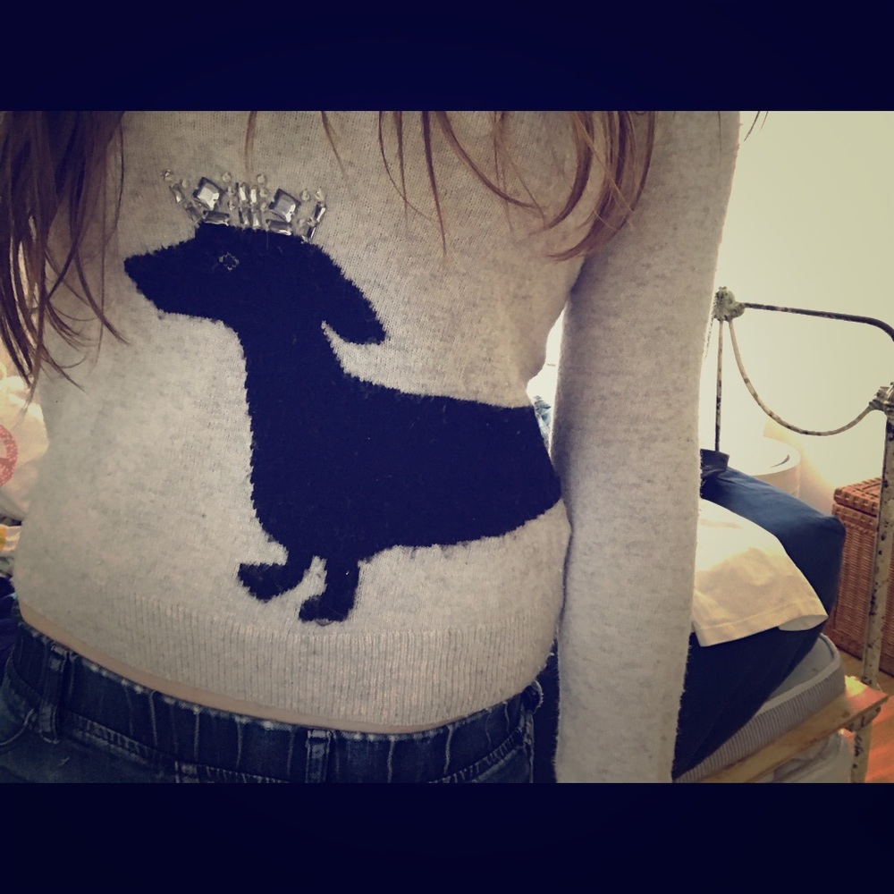Embellished Dog Crown J. Crew Cashmere Sweater